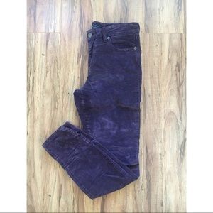 Lucky Brand Purple Velvet Brooke Mid Rise Legging